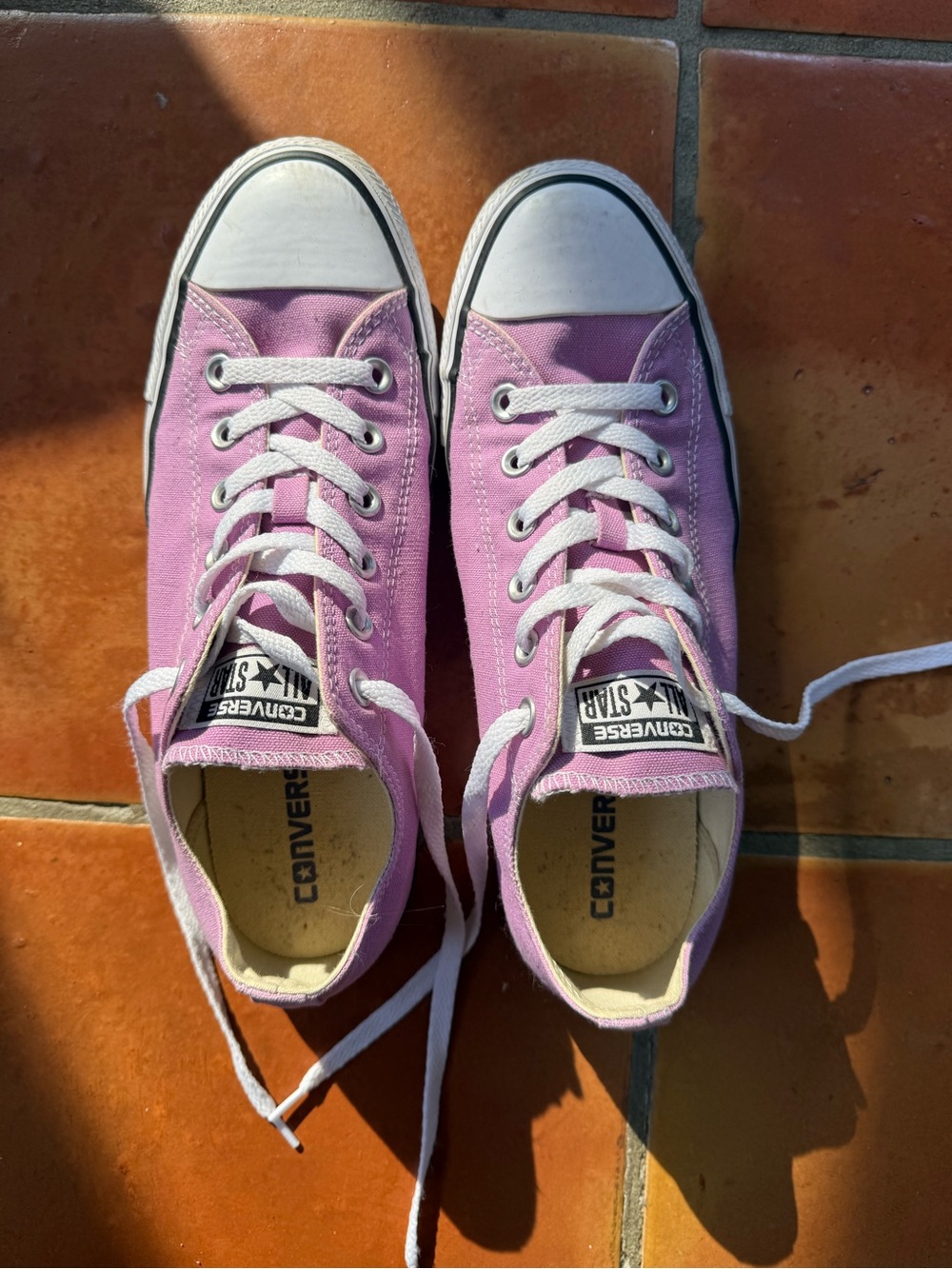 Converse Pink Low Top Canvas Sneakers